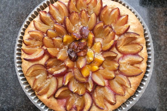 Plum Brioche Tart